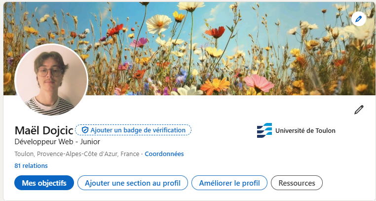 Image du projet : Présence en ligne 